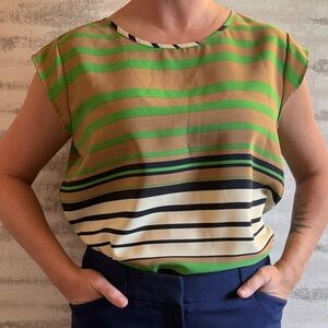 The Limited Multicolor Striped Blouse